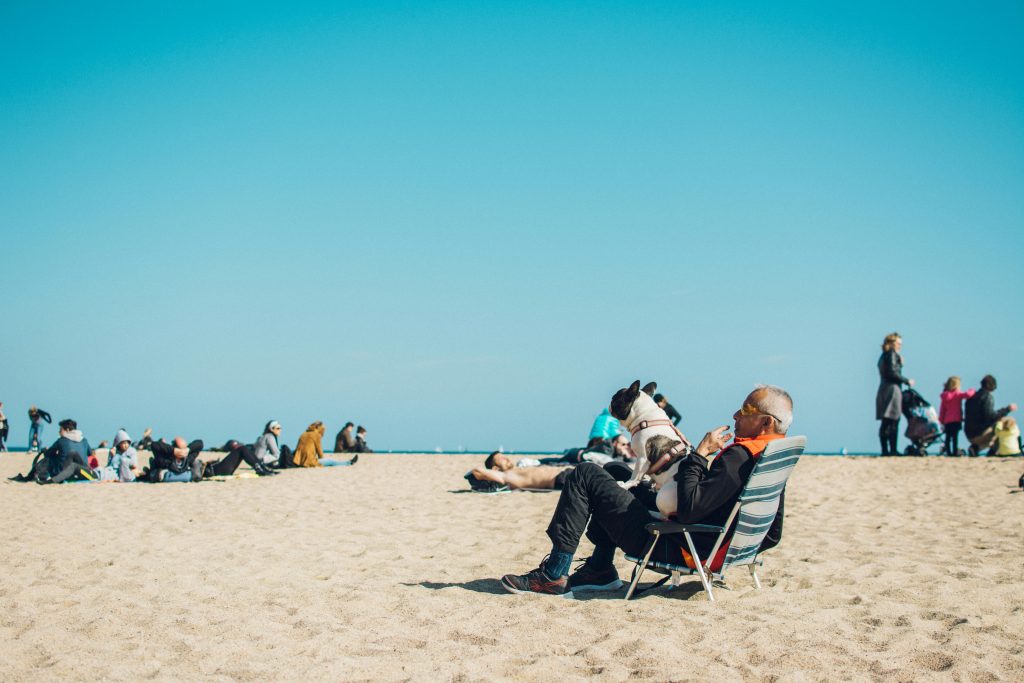 How To Take a Pet Away From a Dementia Patient