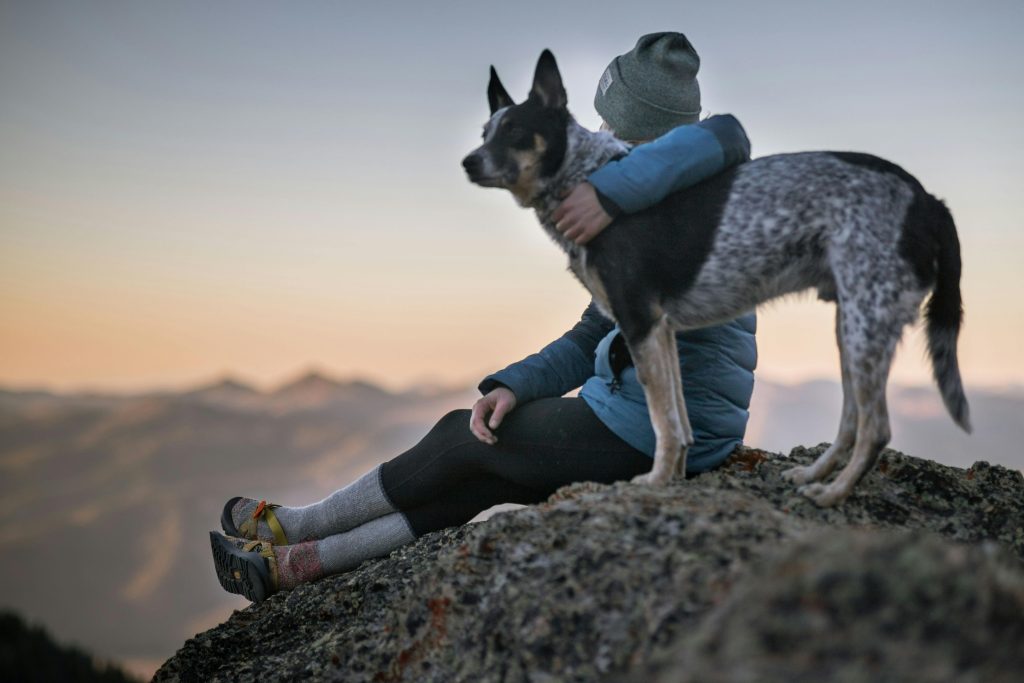 How To Take a Pet Away From a Dementia Patient
